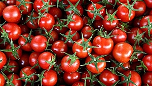 35 yaş sonrası tüketilmesi gereken besinler