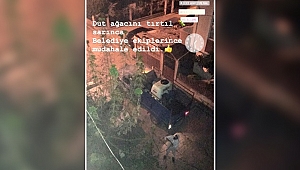 Büyükgöz, “Canla başla çalışmaya devam”