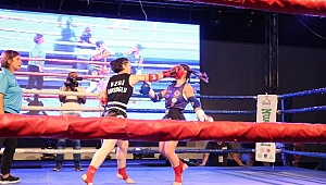 Darıca’da Muay Thai fırtınası esti