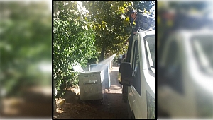 Darıca'da sinek ve böcekle mücadele sürüyor