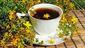 Doğanın altın renkli şifacısı sarı kantaron!