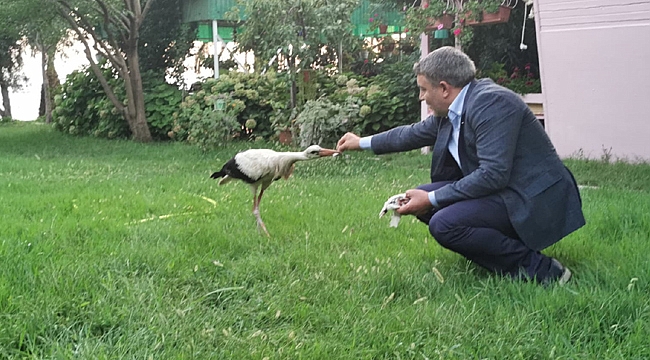 Hamza Şayir, leyleğe sahip çıktı