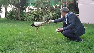 Hamza Şayir, leyleğe sahip çıktı