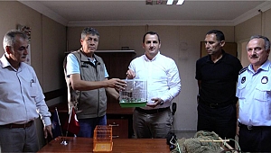 Kaçak ava suçüstü baskın