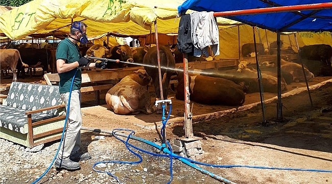 Kurban satış yerlerine ilaçlama çalışması
