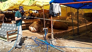 Kurban satış yerlerine ilaçlama çalışması