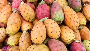 Mucize besin Hint incirinin inanılmaz faydaları!