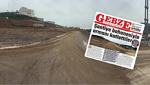 Mutlukent'e neden sessizsiniz?