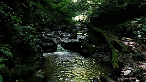 Nüzhetiye Şelalesi ziyaretçilerini büyülüyor