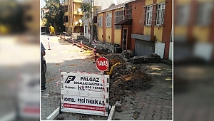 Şayir, "Doğalgazsız ev kalmayacak"