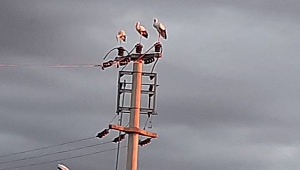 SEDAŞ, leylekler ölmesin diye mücadele verdi