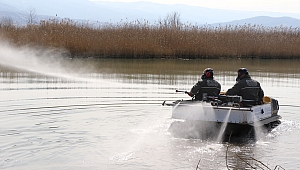 Sivrisineklerle mücadele sürüyor