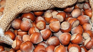 Türkiye 4 üründe lider!