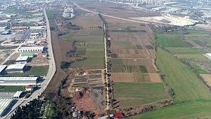 125 hektar alanda yerli fidan üretiliyor