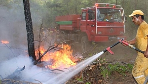 5 bin 469 hektar alan zarar gördü
