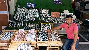 Balıkçılar beklediklerini alamadı