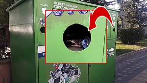 Bu Gebze'de çöp konteyneri de var!