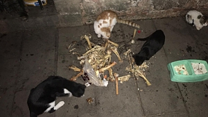 Cami cemaati illallah etti!