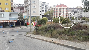 Çayırova'da telekom direği kırıldı