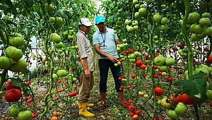 Çiftçilere yüzde 50 hibeli sera desteği