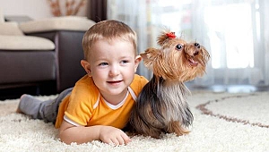 Evcil hayvanlar çocuklara sevmeyi, korumayı öğretiyor