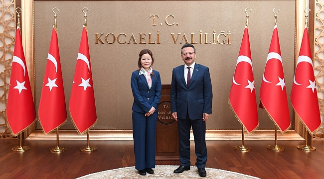 Koreli başkonsolostan Vali Aksoy’a ziyaret