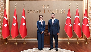 Koreli başkonsolostan Vali Aksoy’a ziyaret