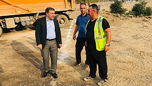 Şayir hız kesmiyor