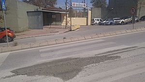 Vatandaş şikayet etti, belediye gelmedi!