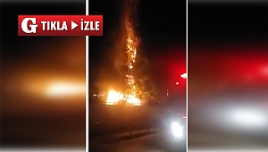 Vicdansızlar ağaçları ateşe verdi