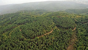 Yaban hayatı kaynaklı kuduza havadan müdahale