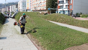 Yeşil alanlar bakımdan geçiyor