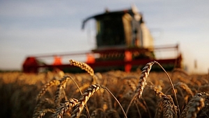 182 projeye 200 milyon TL hibe