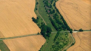 22 ilde ekolojik koridor oluşturulacak