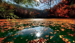 3 milyon 211 bin hektar alan korunuyor