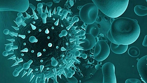 Anne babalar RSV’ye dikkat!