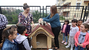 Artık onlarında sıcak bir yuvası var