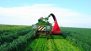 Çiftçilere yüzde 50 hibeli tohum desteği