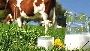 Çiğ sütte referans fiyat 2,30 TL