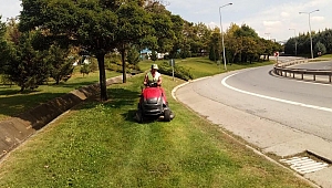 Gebze'de D-100 kenarları yemyeşil