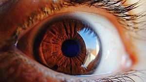 Gözleriniz sağlığınız hakkında neler söylüyor?