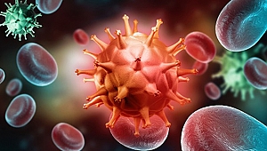 Hepatit B, HIV’den daha bulaşıcı