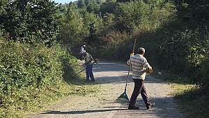 KBB'den ot temizliği