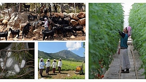 Kırsaldaki kadınlara bakanlık desteği