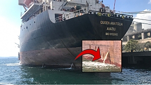 Körfezi kirletmenin cezası 1 milyon 772 bin TL!