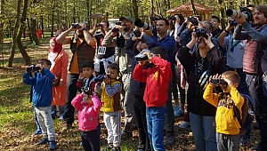 Kuş gözlemcileri Ormanya’da buluşacak