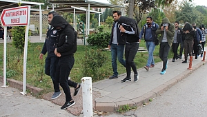 Siber çete operasyonunda 7 tutuklama