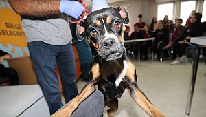 Okullarda hayvan sevgisi büyüyor