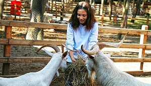 Ormanya'da hayvan sevgisi aşılandı