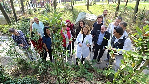 Tıbbi aromatik bitki yetiştirecekler